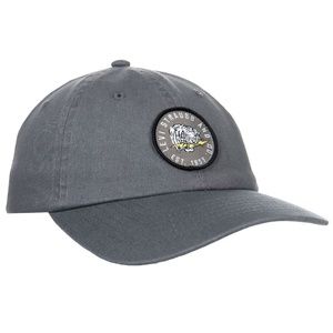 Levis Gray Hat Tiger Lightning Bolt Snapback Cap